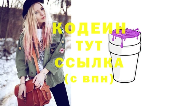 бошки Няндома