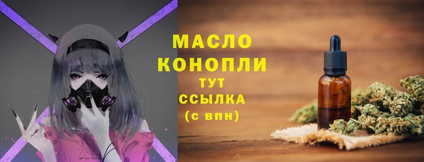 бошки Няндома