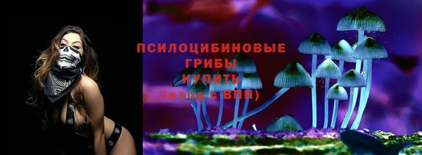 бошки Няндома