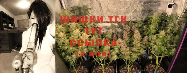 бошки Няндома