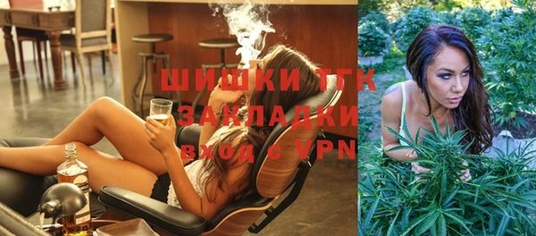 бошки Няндома