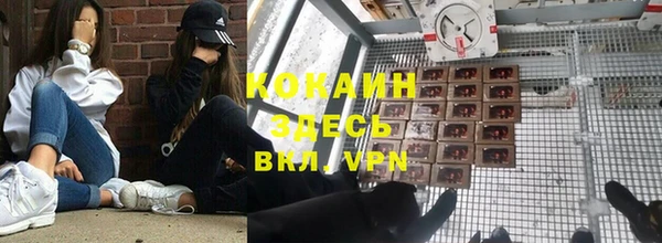 бошки Няндома