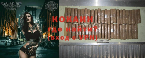 бошки Няндома
