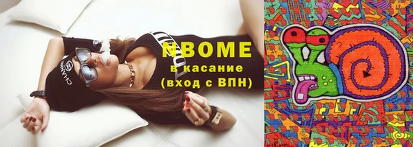 бошки Няндома