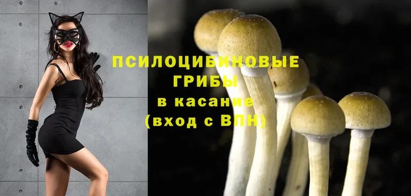 Галлюциногенные грибы MAGIC MUSHROOMS  MEGA маркетплейс  Энем 