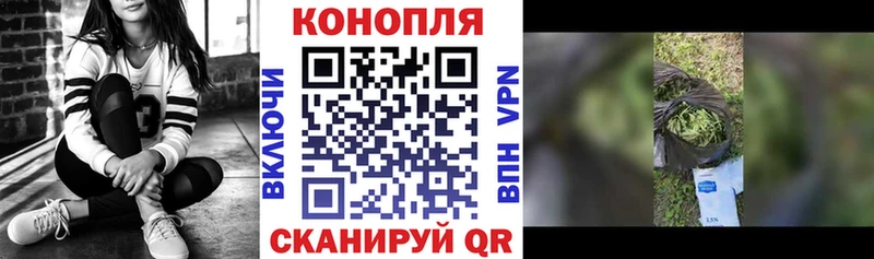 Бошки марихуана ГИДРОПОН  Энем 